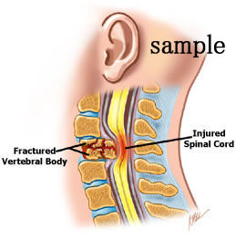 �_�o�̈���